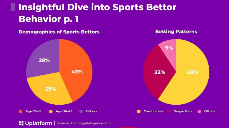 Player Preferences and Behaviors