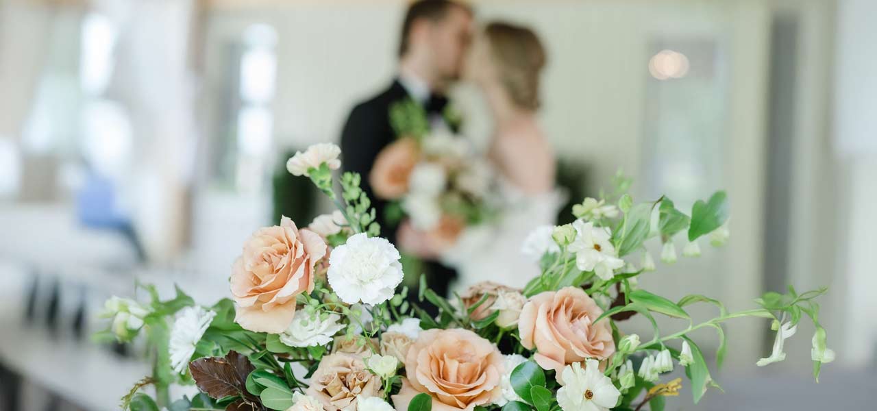 Tricia Bachewich Events
